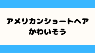 アメリカンショートヘア かわいそう